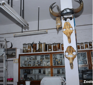 Al Ameen College of Arts Science & Commerce Campus photo 9